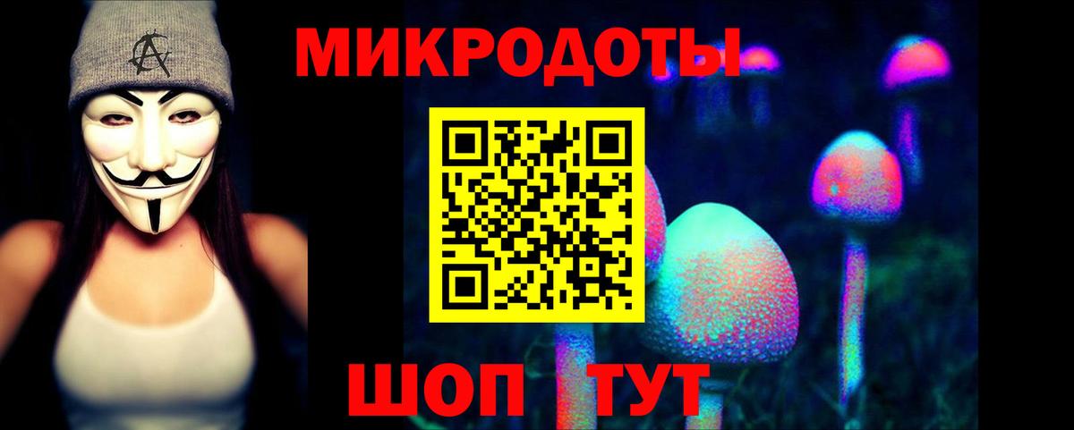 Псилоцибиновые грибы Psilocybe Чайковский