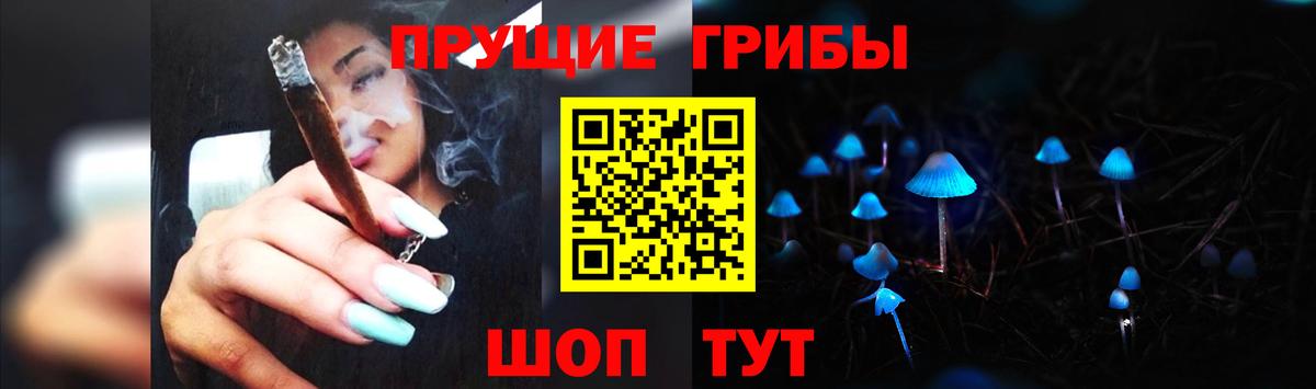 Чайковский  Галлюциногенные грибы Psilocybe  Вход с VPN 